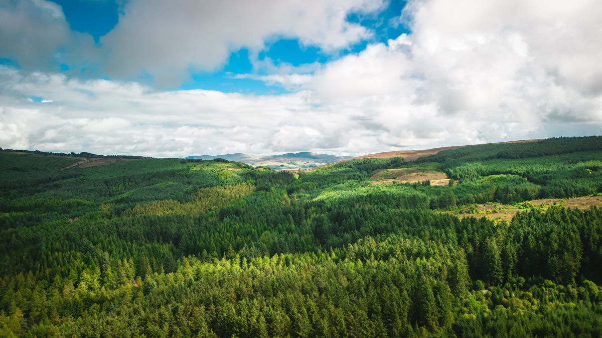 Natur vor deiner Haustür entdecken - praktische Tipps