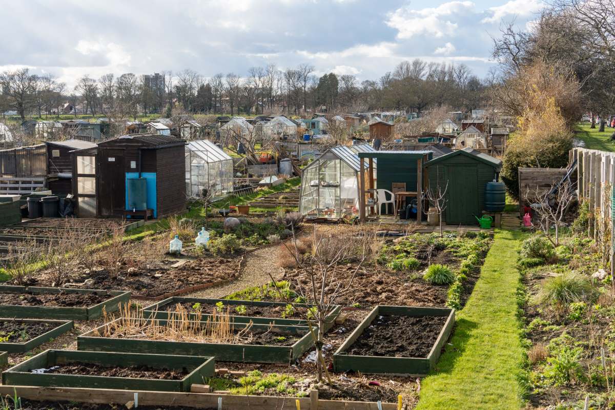Schrebergarten in Breisgau-Hochschwarzwald: Pacht, Regeln un