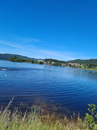 Schluchsee