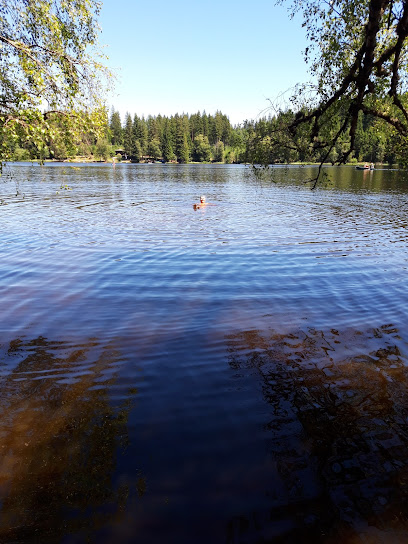 Windgfällweiher