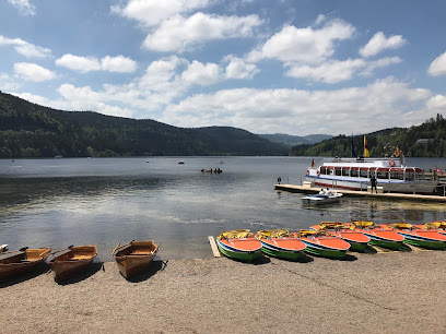 Titisee